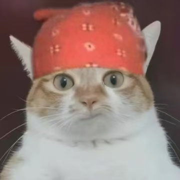 Linxun头像